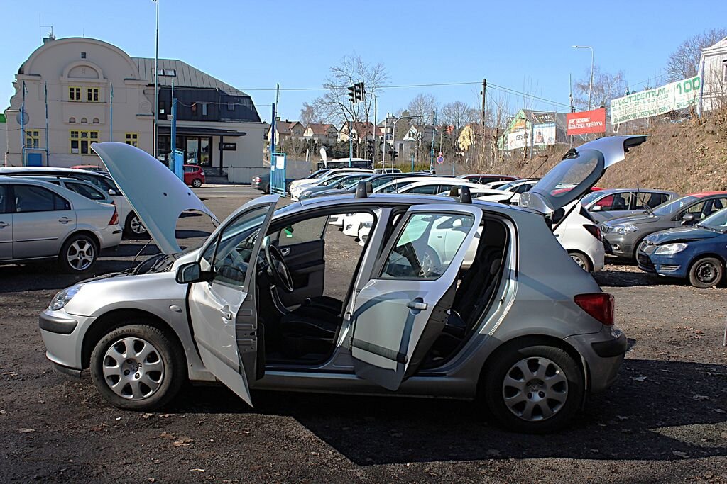 Peugeot 307 Hatchback 2,0 l 66 kw