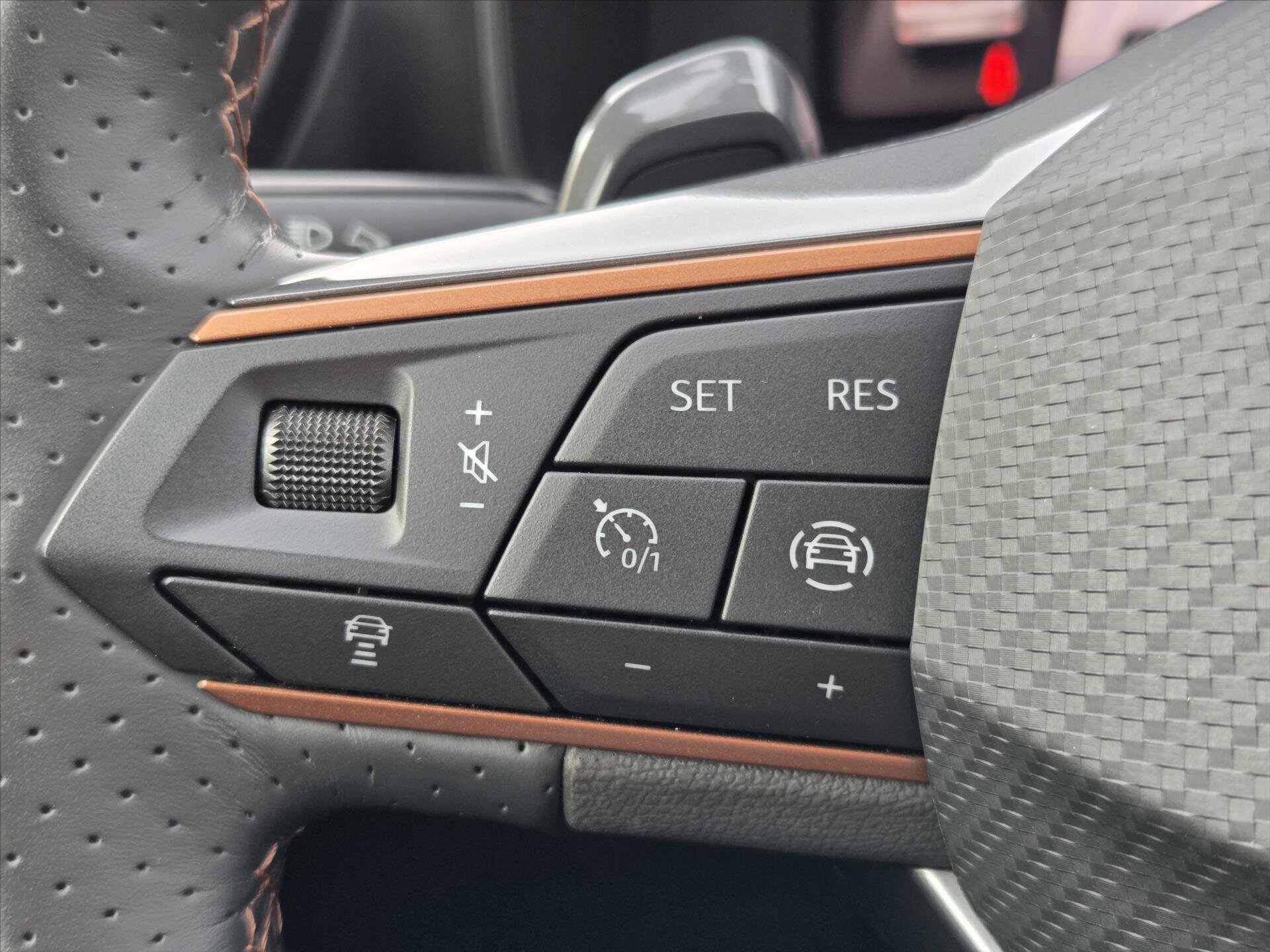Cupra Formentor SUV / Terénní 1,5 l 110 kw