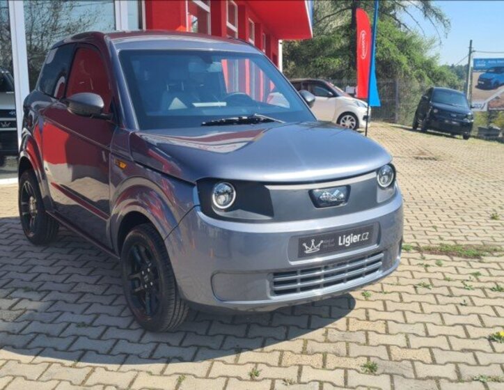 Ligier Ostatní Hatchback 499,0 6 kw