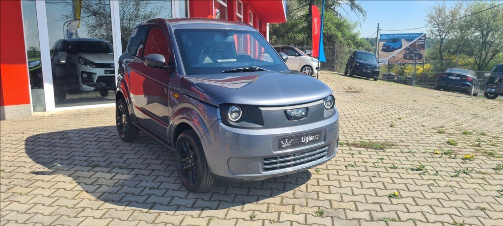 Ligier Ostatní Hatchback 499,0 6 kw