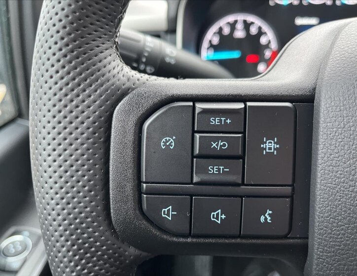 Ford F-150 Pick-up 5,0 l 298 kw