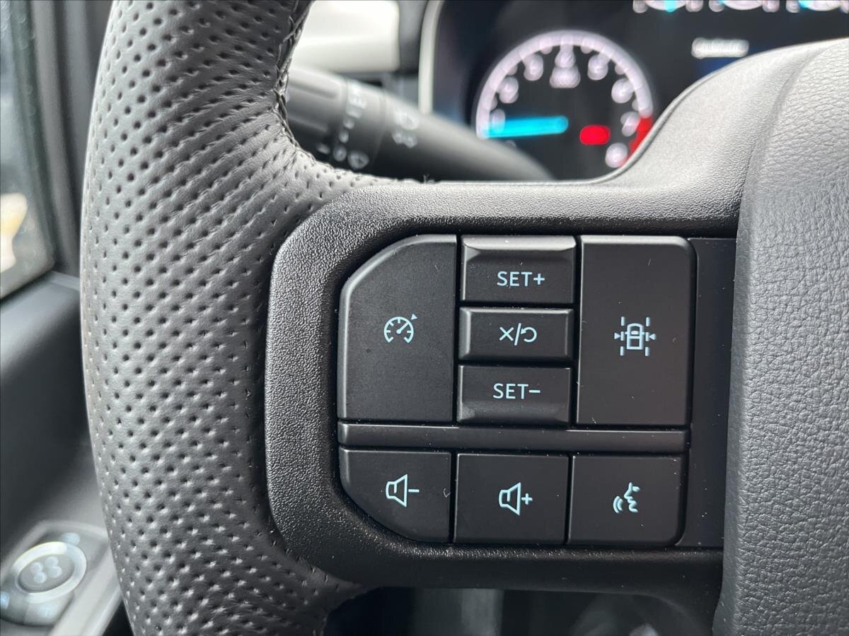 Ford F-150 Pick-up 5,0 l 298 kw