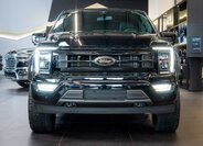 Ford F-150 Pick-up 5,0 l 298 kw