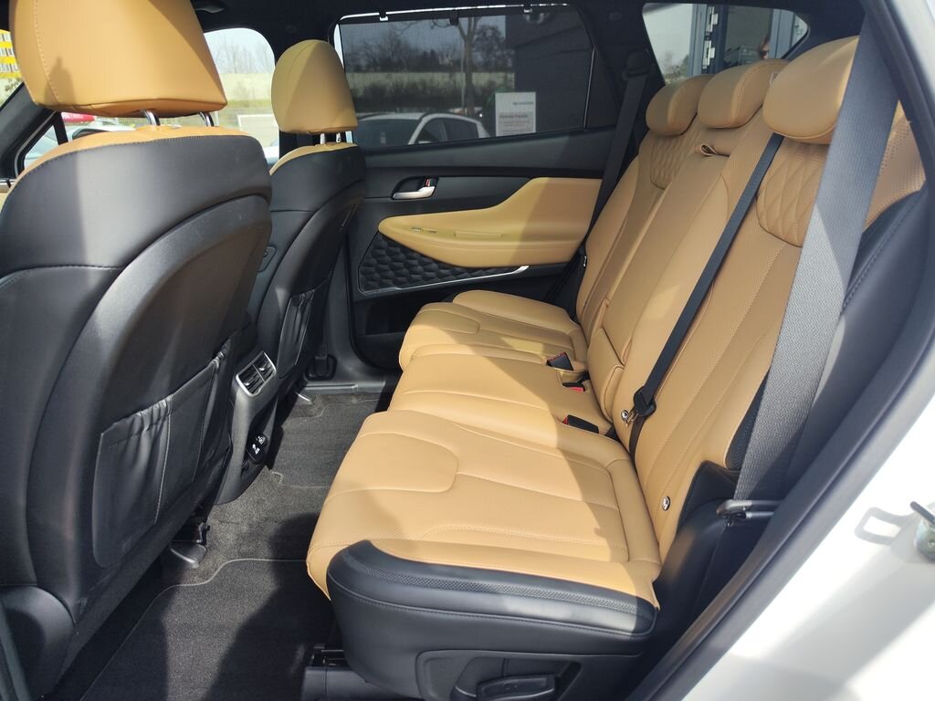 Hyundai Santa Fe SUV / Terénní 2,2 l 142 kw