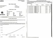 Škoda Kodiaq Kombi 2,0 l 110 kw