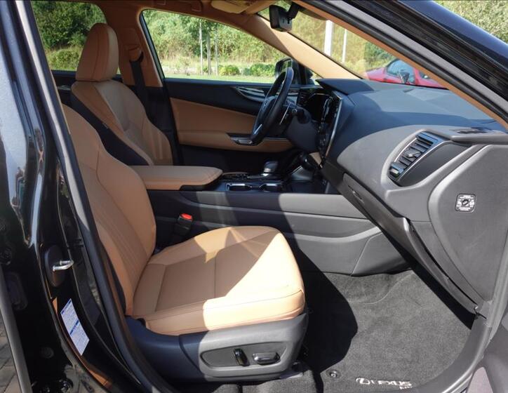 Lexus NX 450h plus 13