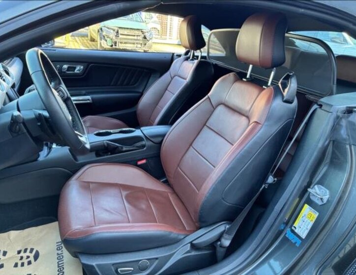 Ford Mustang Kabriolet 5,0 l 310 kw