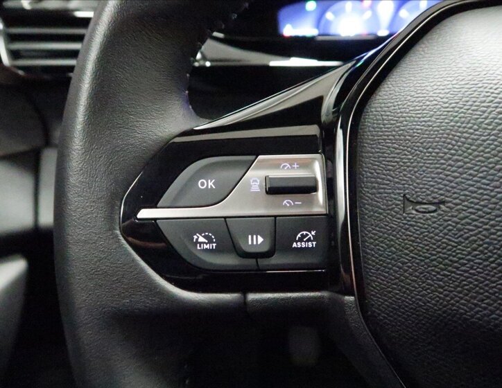 Peugeot 308 Hatchback 1,2 l 96 kw