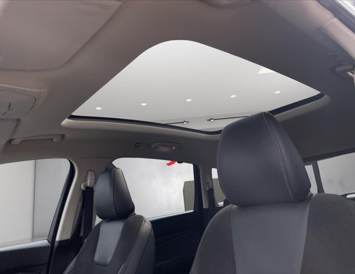 Ford S-MAX MPV 2,0 l 110 kw