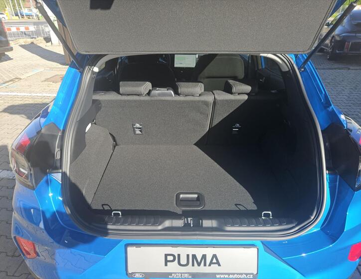 Ford Puma 12