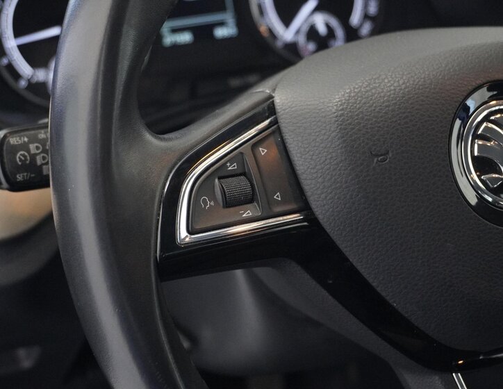 Škoda Scala Hatchback 1,6 l 85 kw