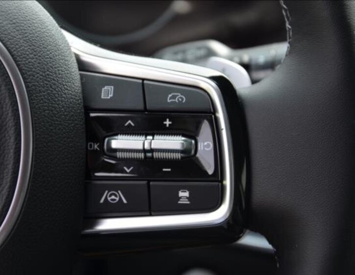 KIA Sorento Ostatní 2,2 l 142 kw