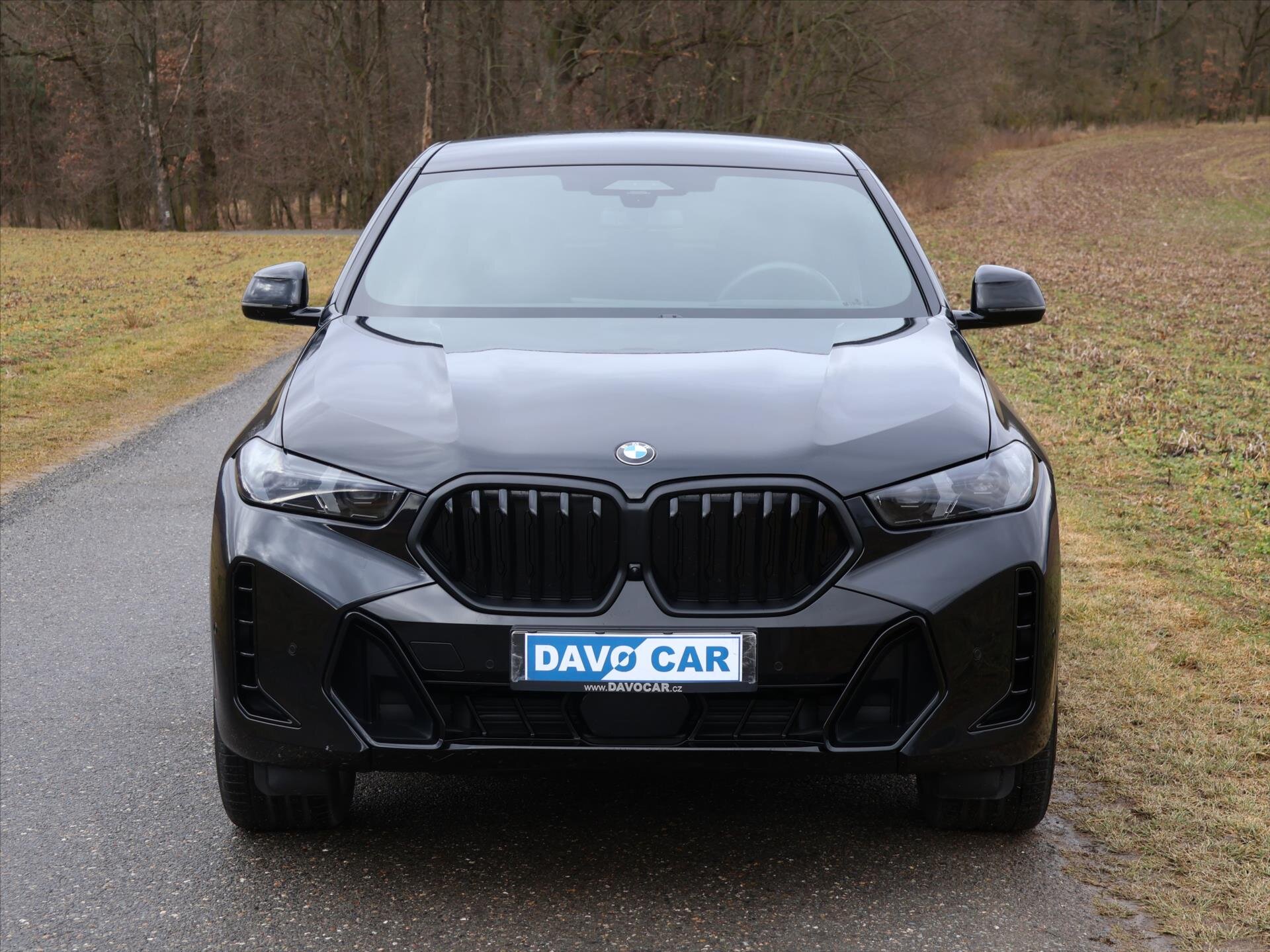 BMW X6 SUV 3,0 l 210 kw