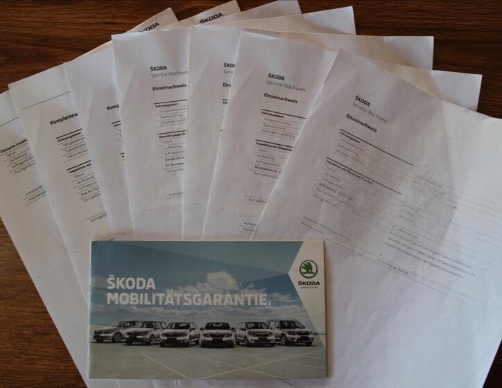 Škoda Karoq SUV / Terénní 1,5 l 110 kw