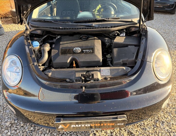 Volkswagen New Beetle 18