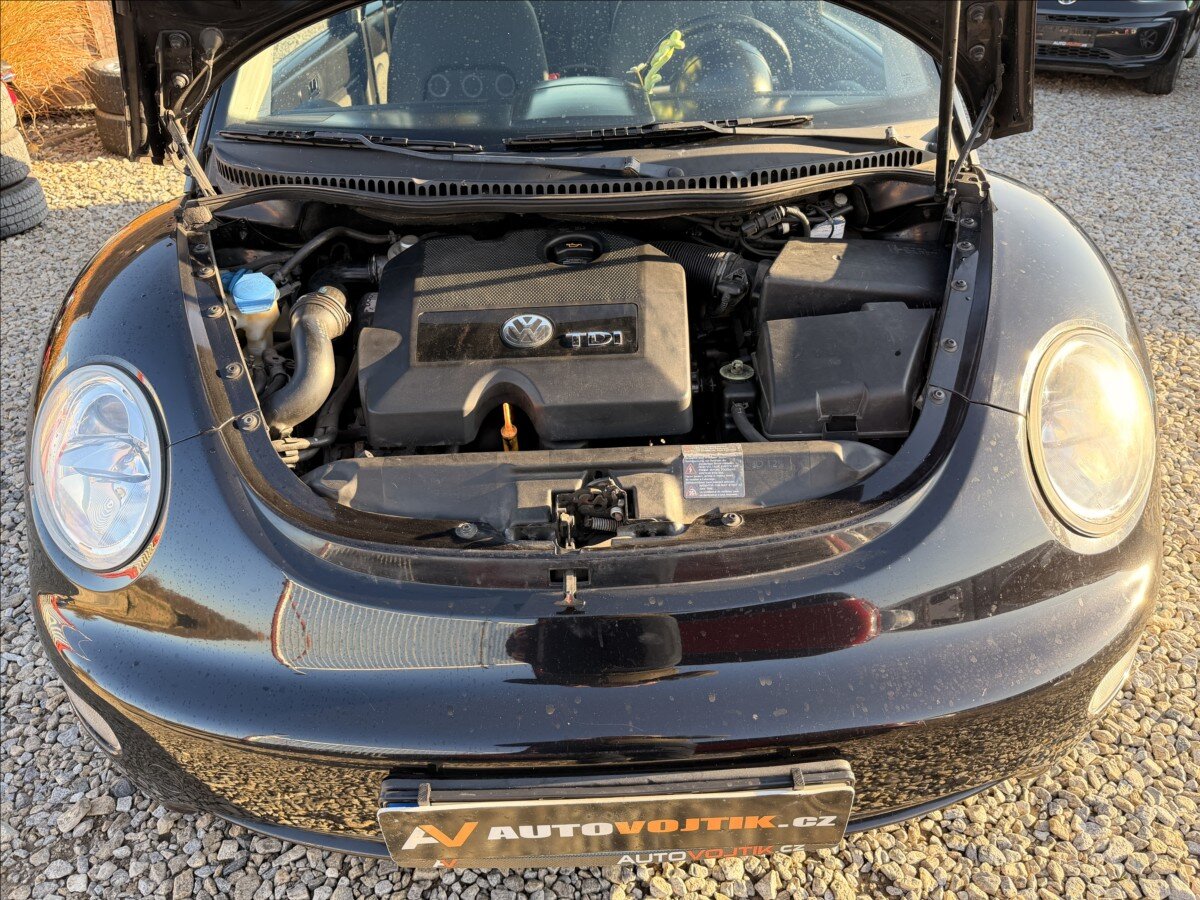 Volkswagen New Beetle