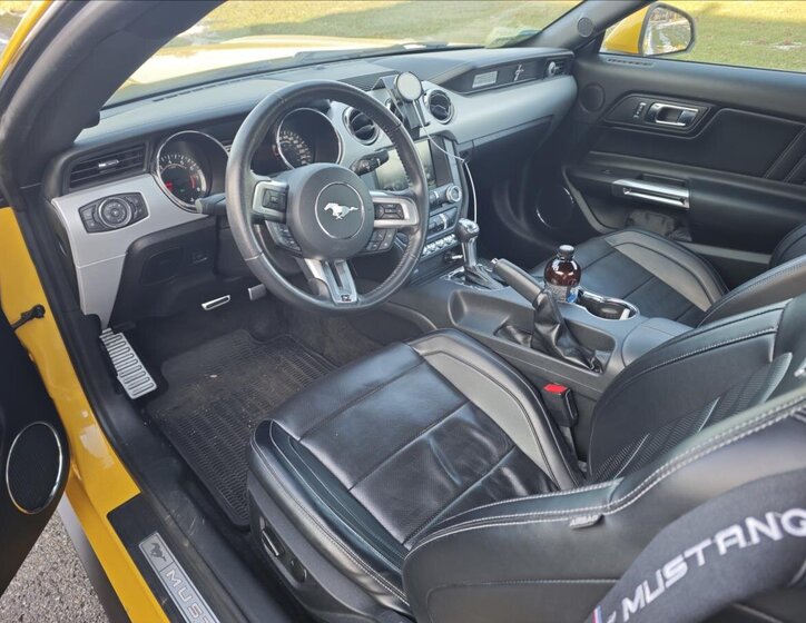 Ford Mustang Kupé 5,0 l 310 kw