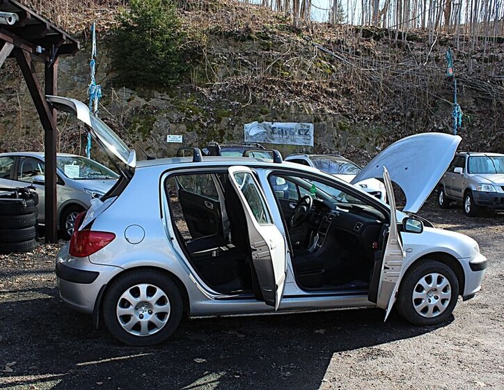 Peugeot 307 Hatchback 2,0 l 66 kw