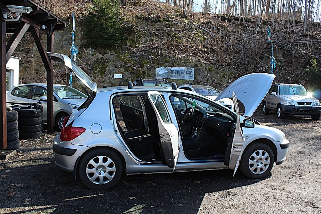 Peugeot 307 Hatchback 2,0 l 66 kw