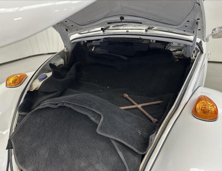 Volkswagen Beetle 21