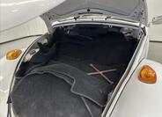 Volkswagen Beetle 21