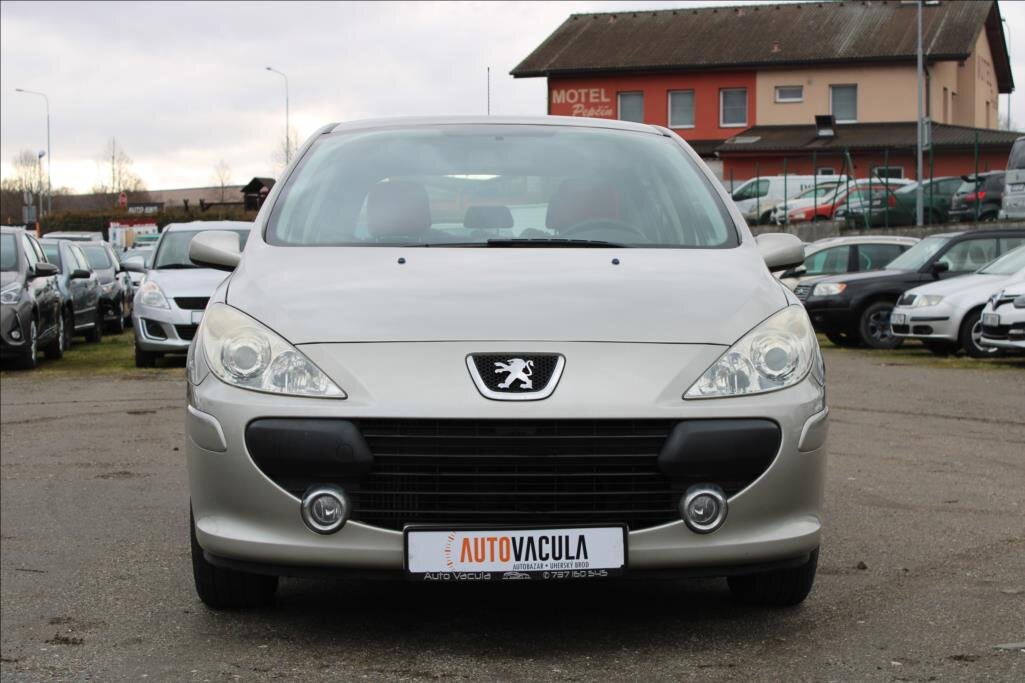 Peugeot 307 Hatchback 1,6 l 66 kw