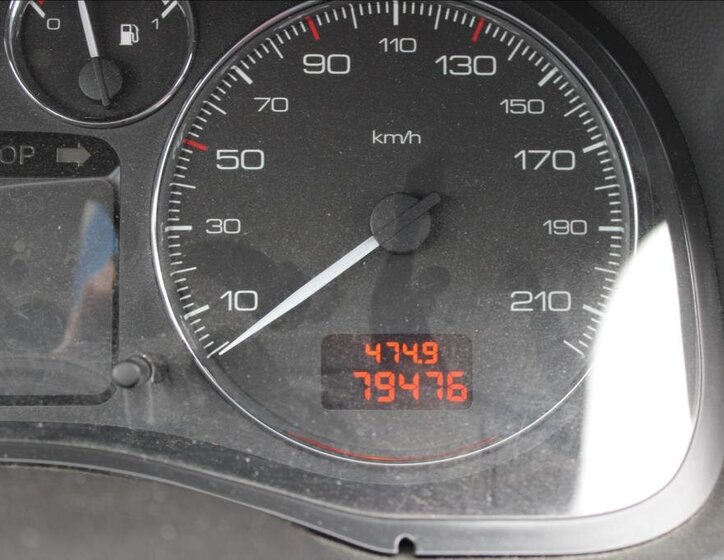 Peugeot 307 Hatchback 1,6 l 66 kw