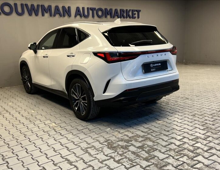 Lexus NX 350h 12