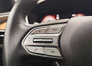 Hyundai Santa Fe SUV 2,2 l 142 kw