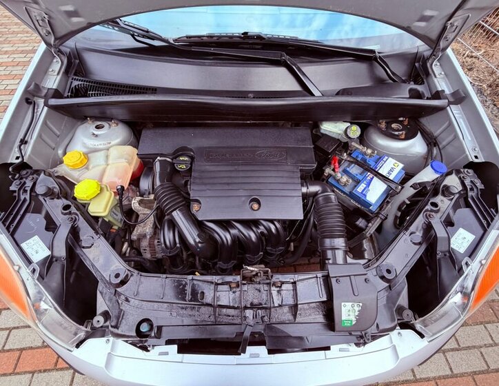 Ford Fusion Hatchback 1,4 l 59 kw