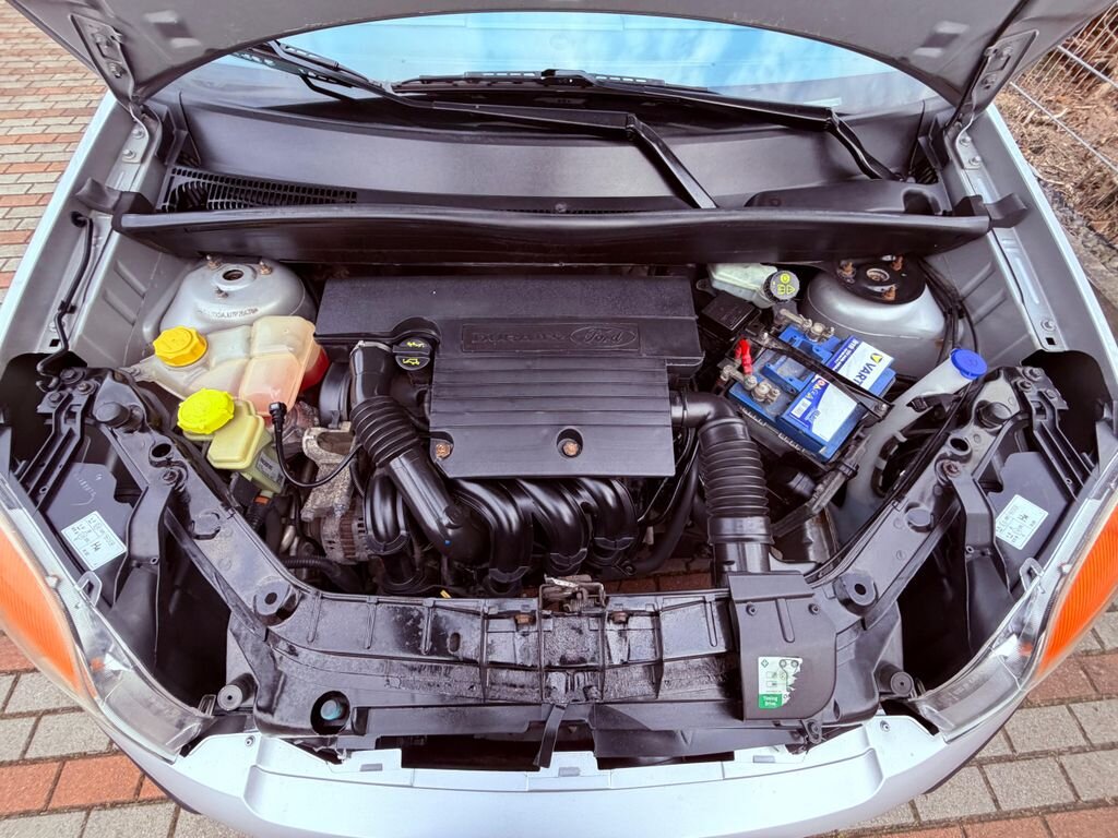 Ford Fusion Hatchback 1,4 l 59 kw