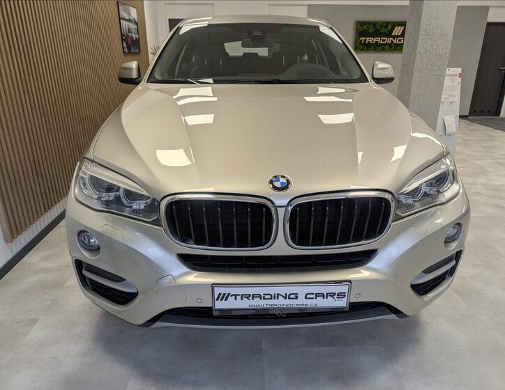 BMW X6 Sedan 3,0 l 190 kw