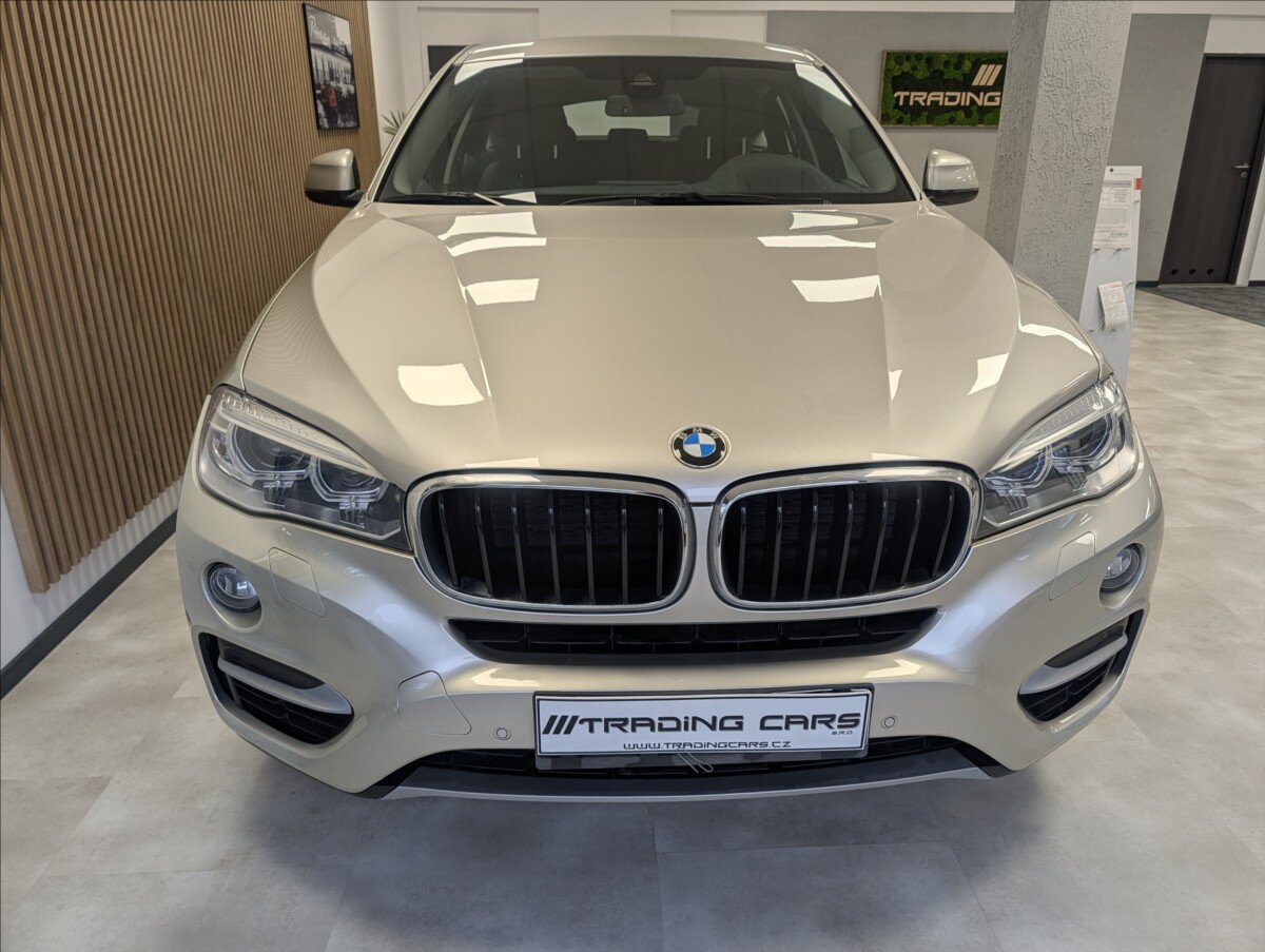 BMW X6 Sedan 3,0 l 190 kw