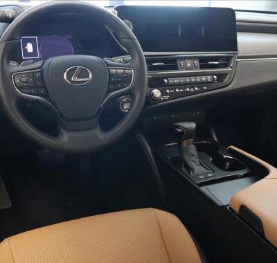 Lexus ES 300 17