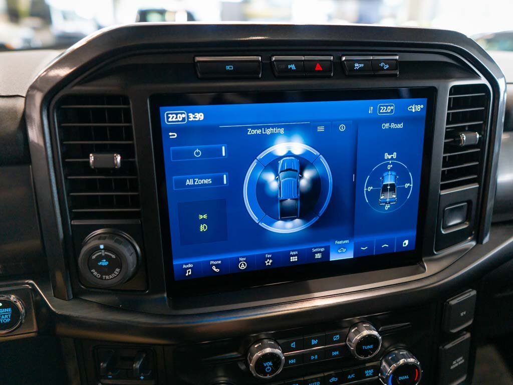 Ford F-150 Pick-up 5,0 l 298 kw