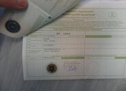 Volkswagen Tiguan SUV 2,0 l 110 kw