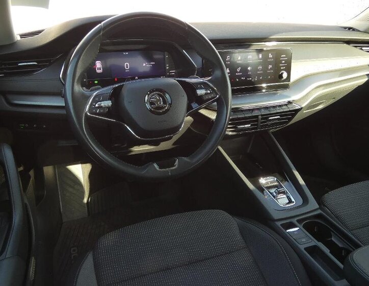 Škoda Octavia Sedan / Limuzína 2,0 l 110 kw