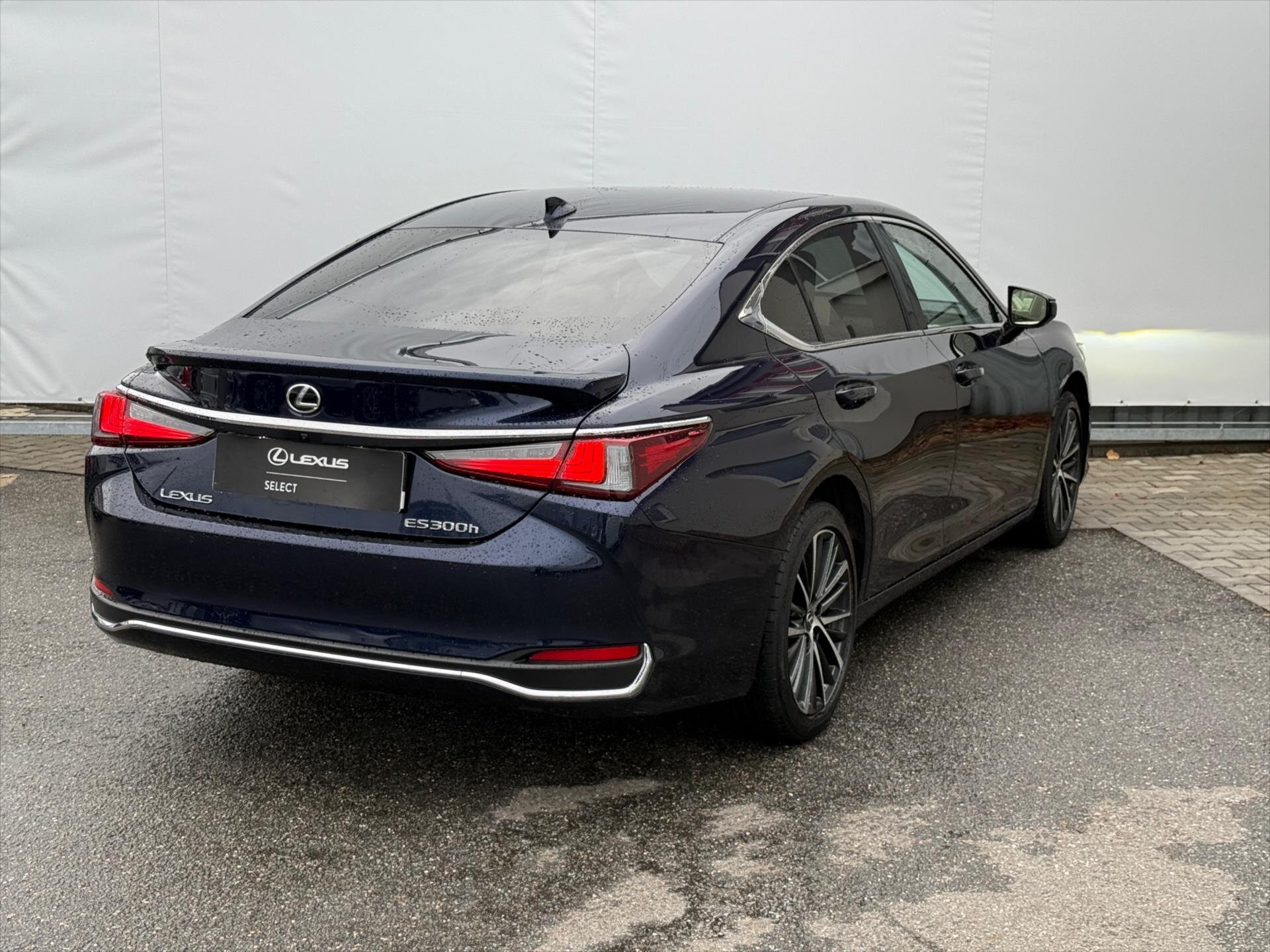 Lexus ES 300h Sedan 2,5 l 131 kw