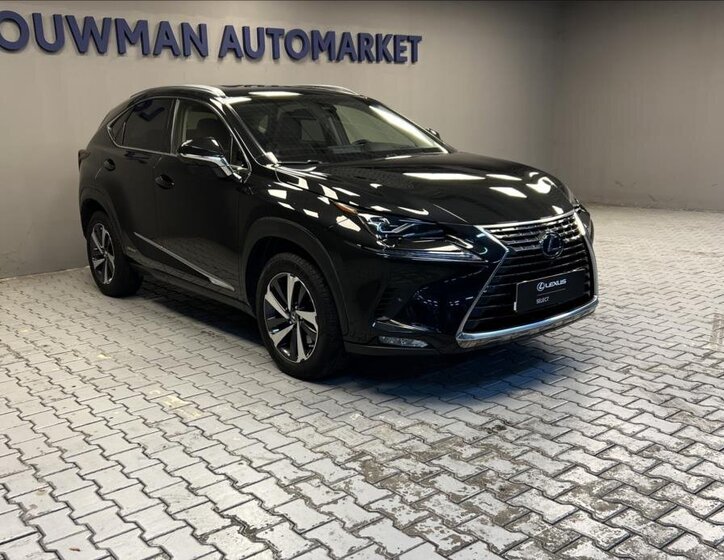 Lexus NX 300h 11