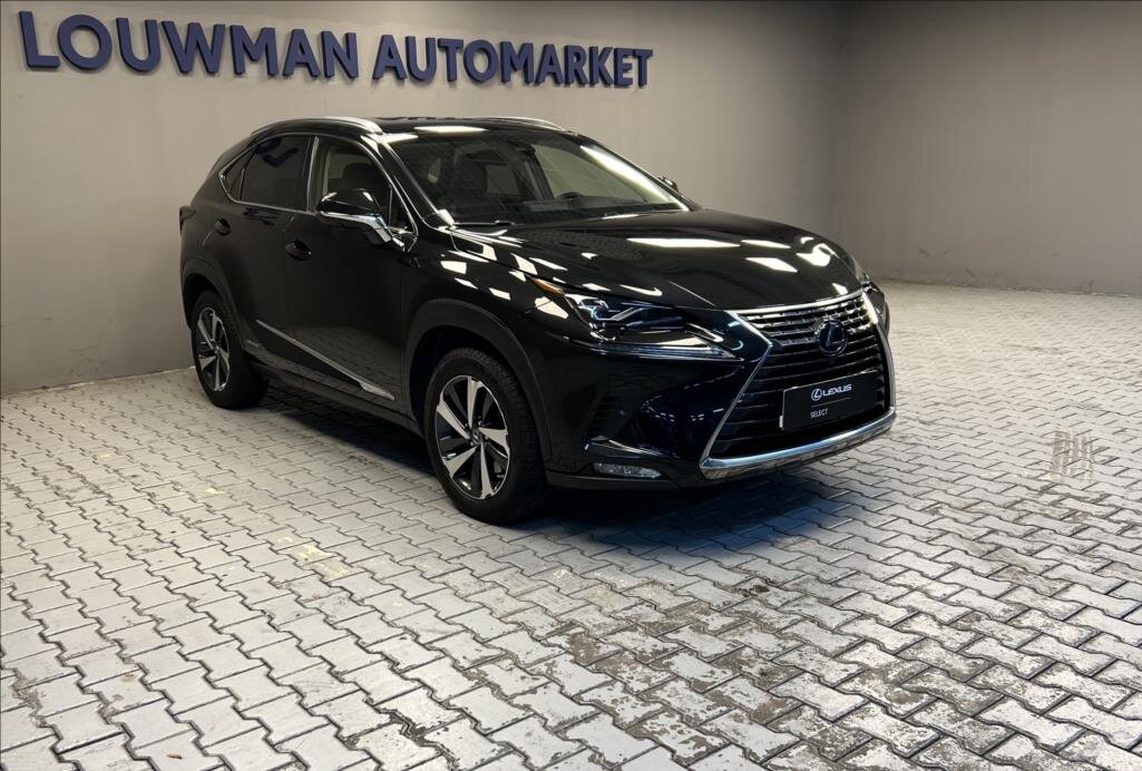 Lexus NX 300h