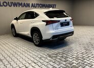 Lexus NX 300h 13