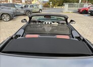 Ford Mustang Kabriolet 5,0 l 310 kw