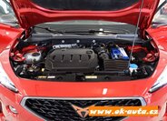 Cupra Formentor SUV / Terénní 2,0 l 110 kw