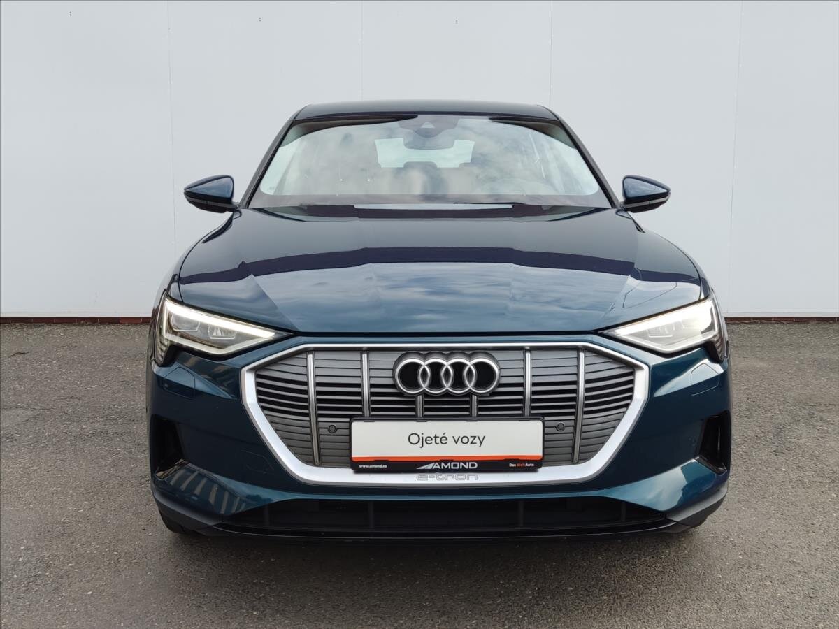 Audi e-tron SUV / Terénní 0,0 300 kw