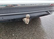 Volkswagen Tiguan Kombi 2,0 l 110 kw