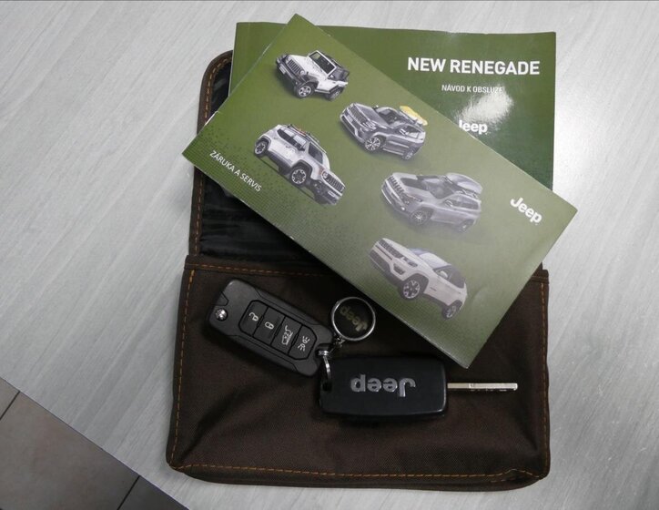 Jeep Renegade SUV 1,3 l 111 kw