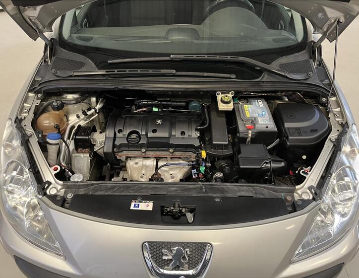 Peugeot 307 25