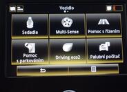 Renault Grand Scénic 24