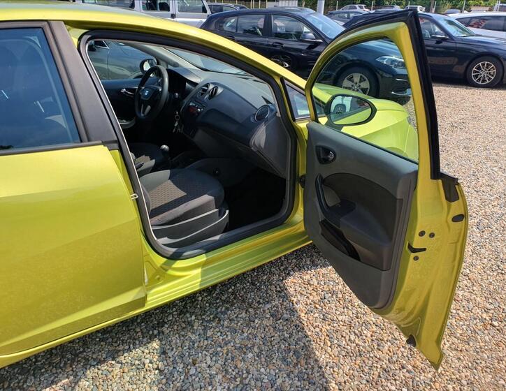 Seat Ibiza 10