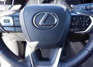 Lexus RX 350h 28